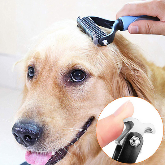 Filterive til hund